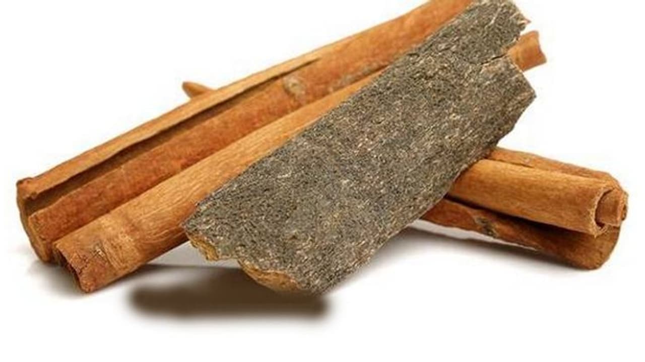 Twak medicinal plant