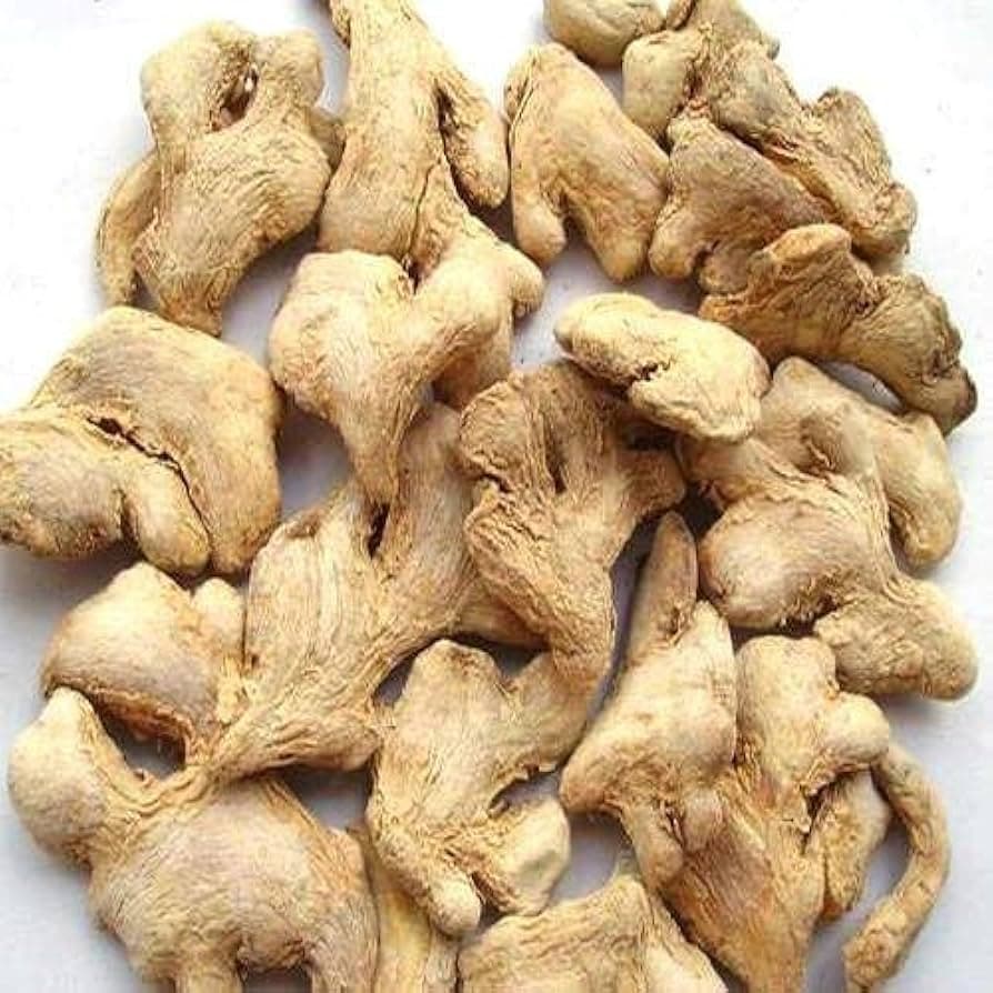 Shunthi medicinal plant