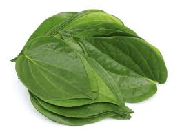 Tambul medicinal plant