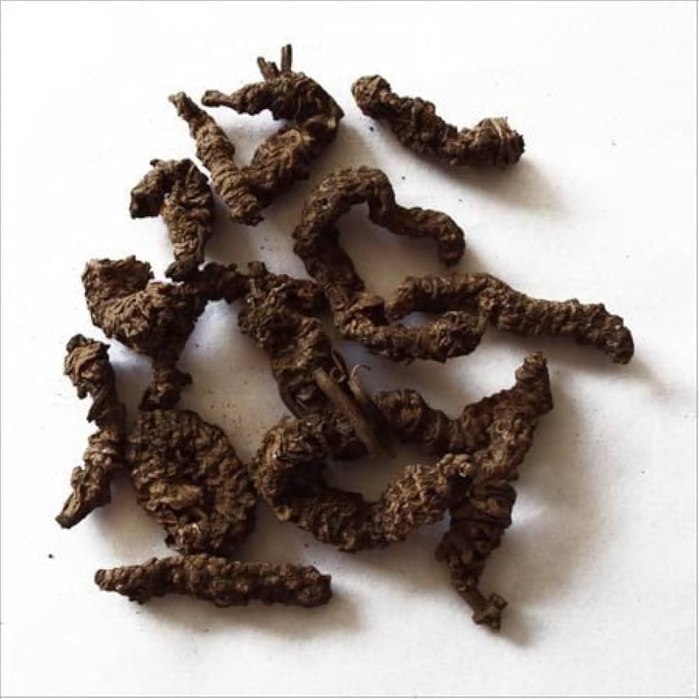 Sughandbala medicinal plant