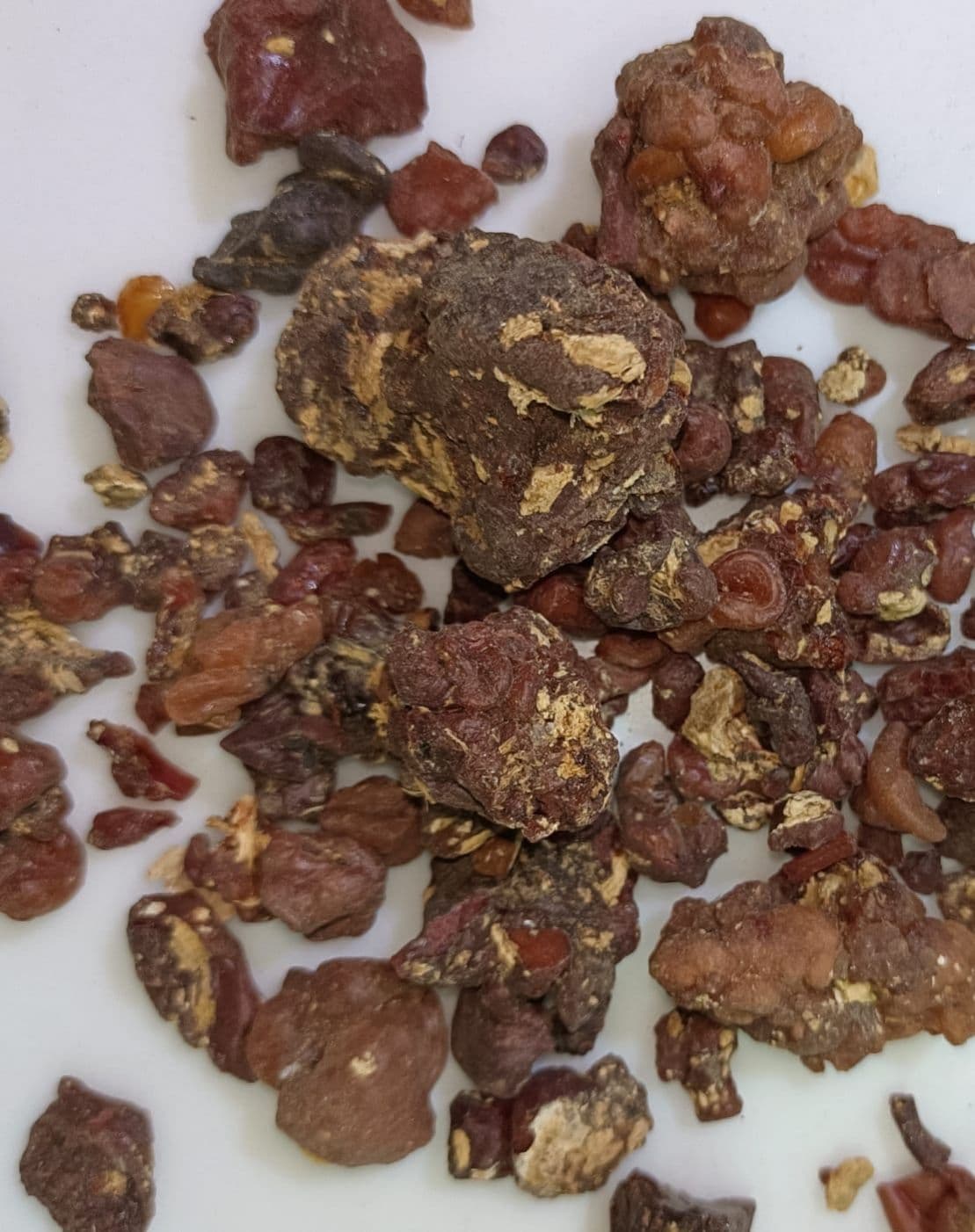 Shalmali medicinal plant
