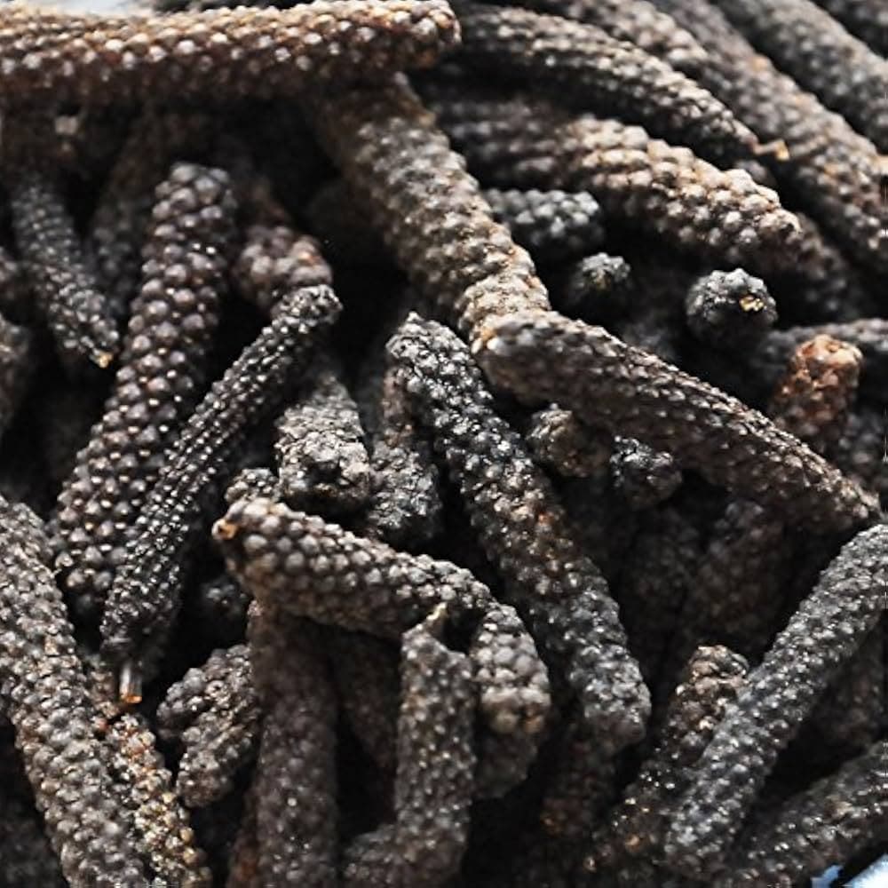Pippali medicinal plant