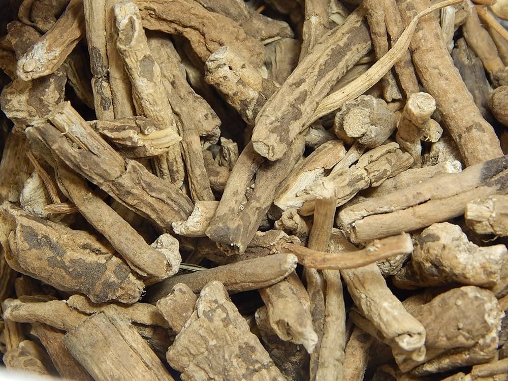 Trivritta medicinal plant
