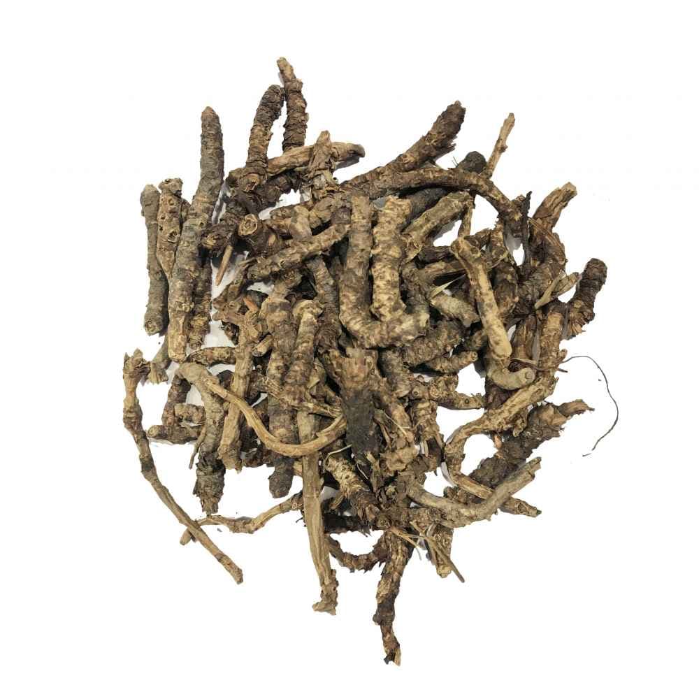 Kutaki medicinal plant