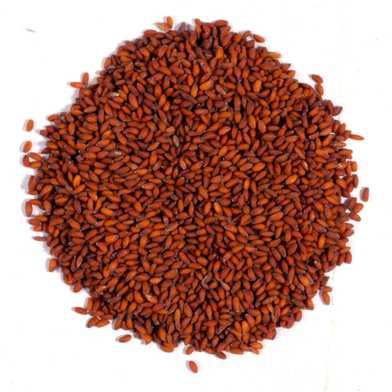 Chandrashoora medicinal plant