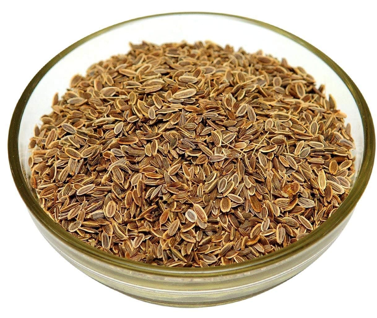 Shatpushpa medicinal plant