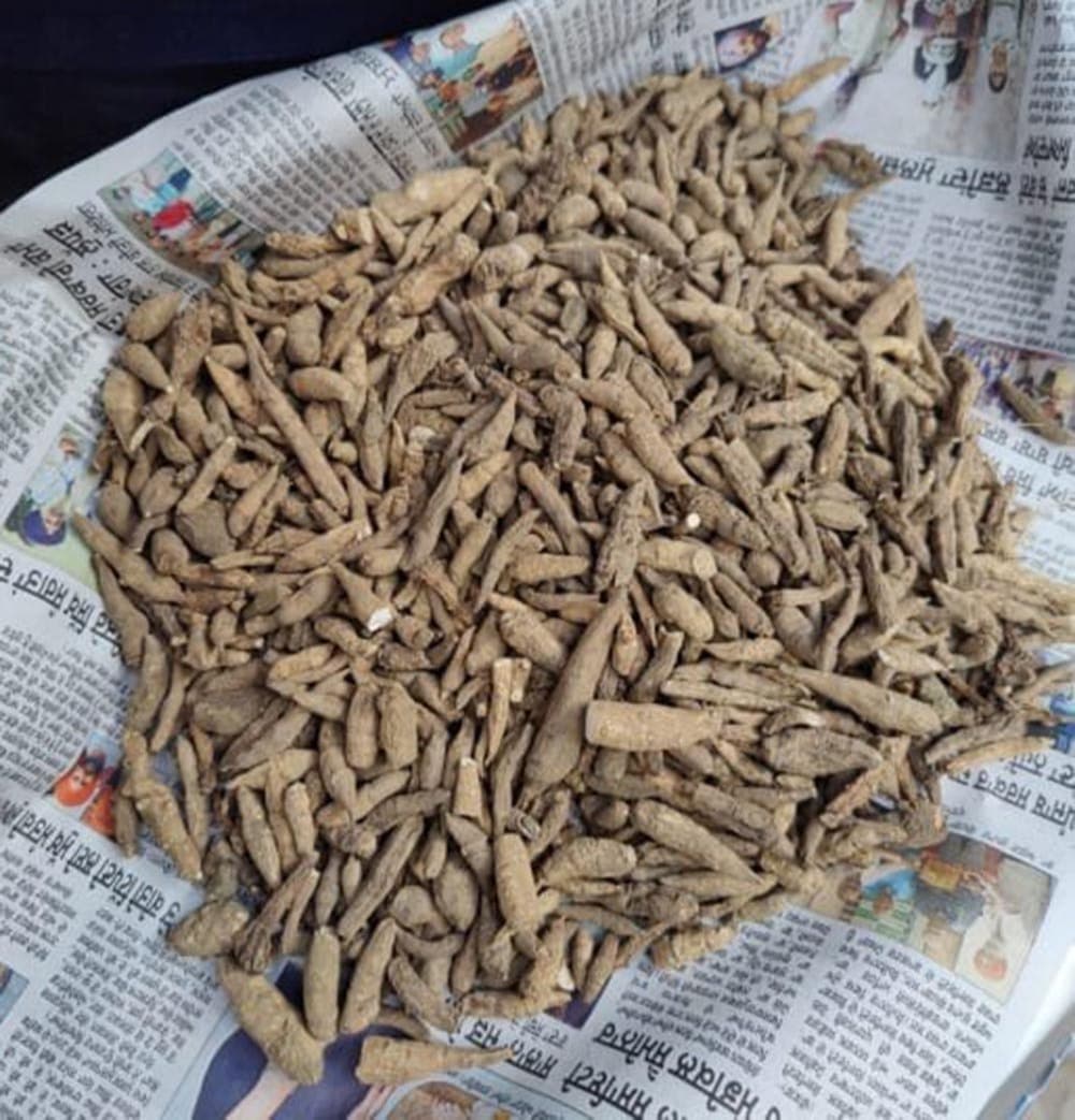 Ativisha medicinal plant
