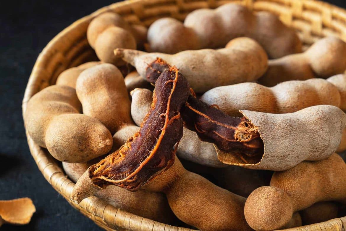 Chincha medicinal plant