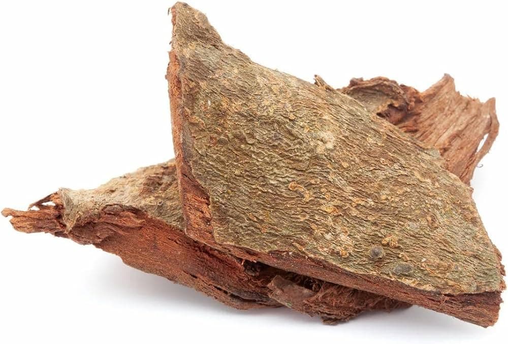 Arjuna medicinal plant