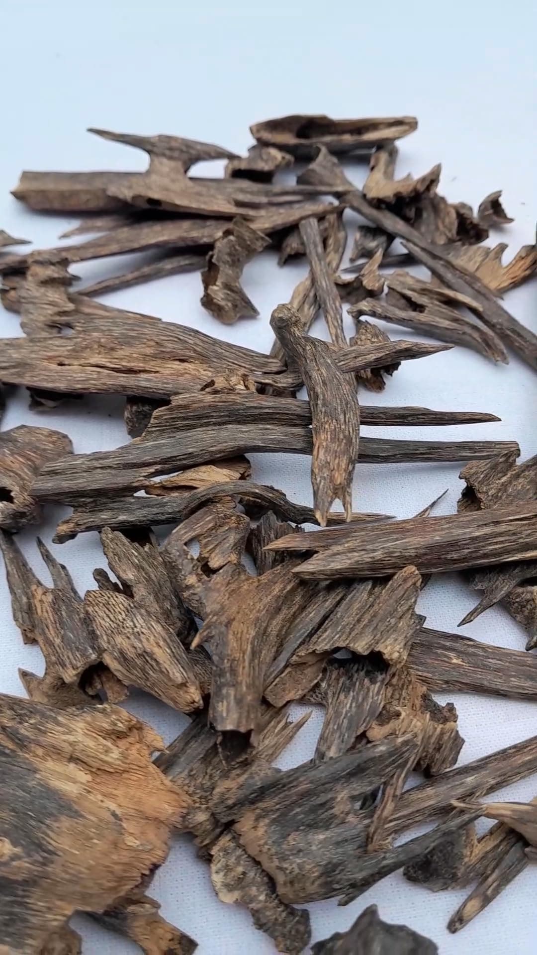 Aguru medicinal plant