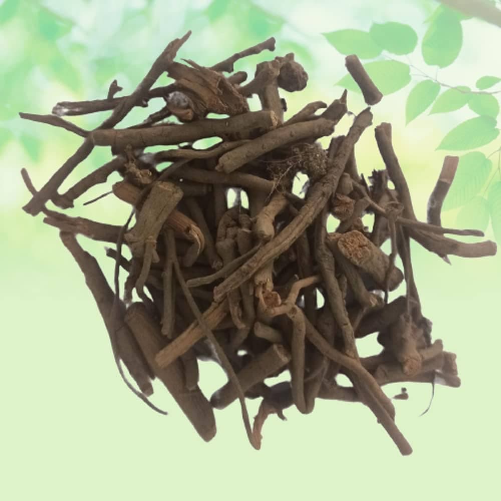 Chitrak medicinal plant