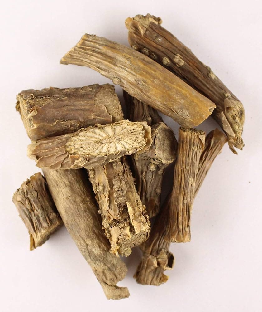 Guduchi medicinal plant
