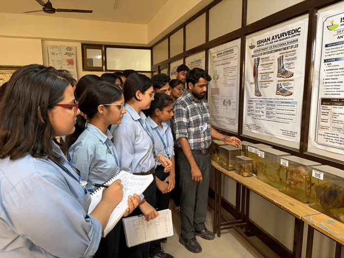 Department of Rachana Sharir - Lab 2