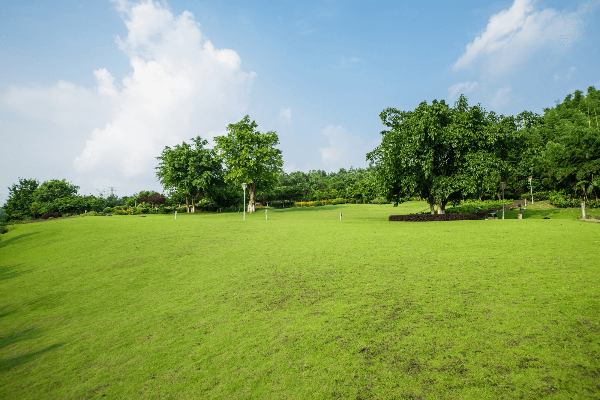Green Initiatives