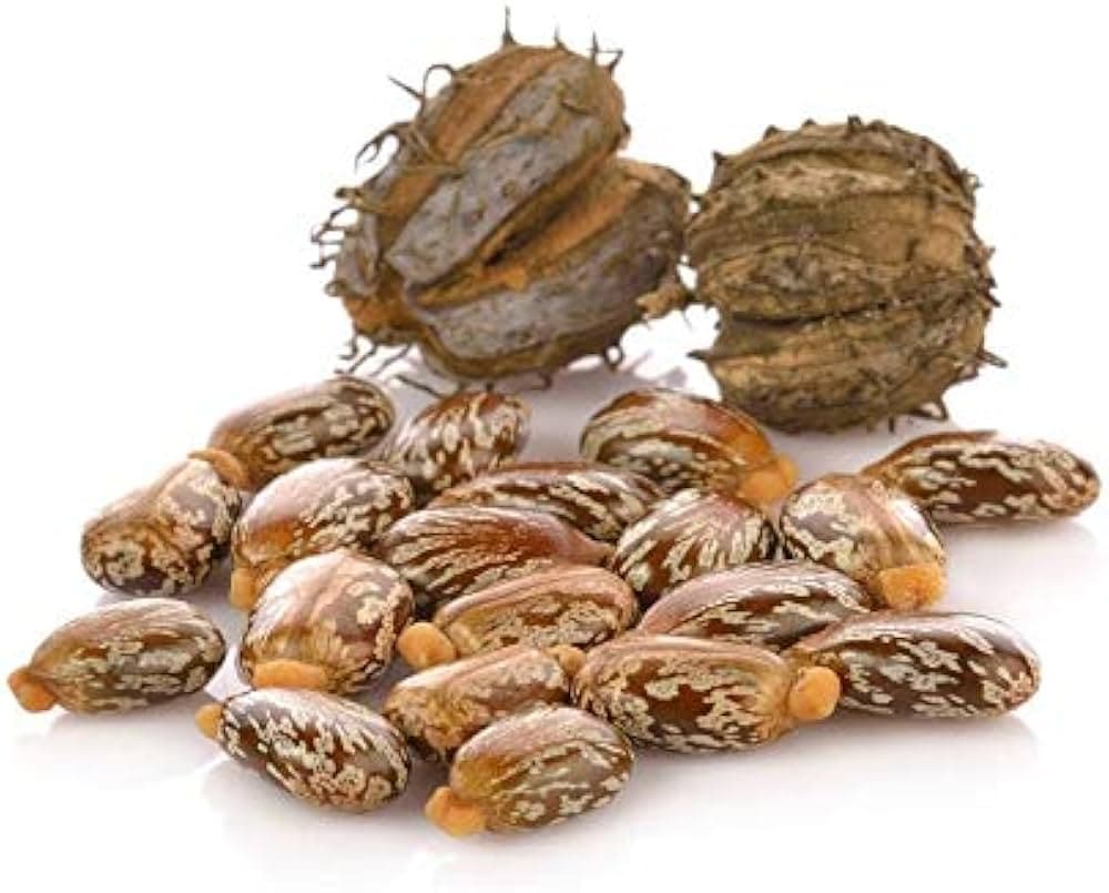 Erand medicinal plant