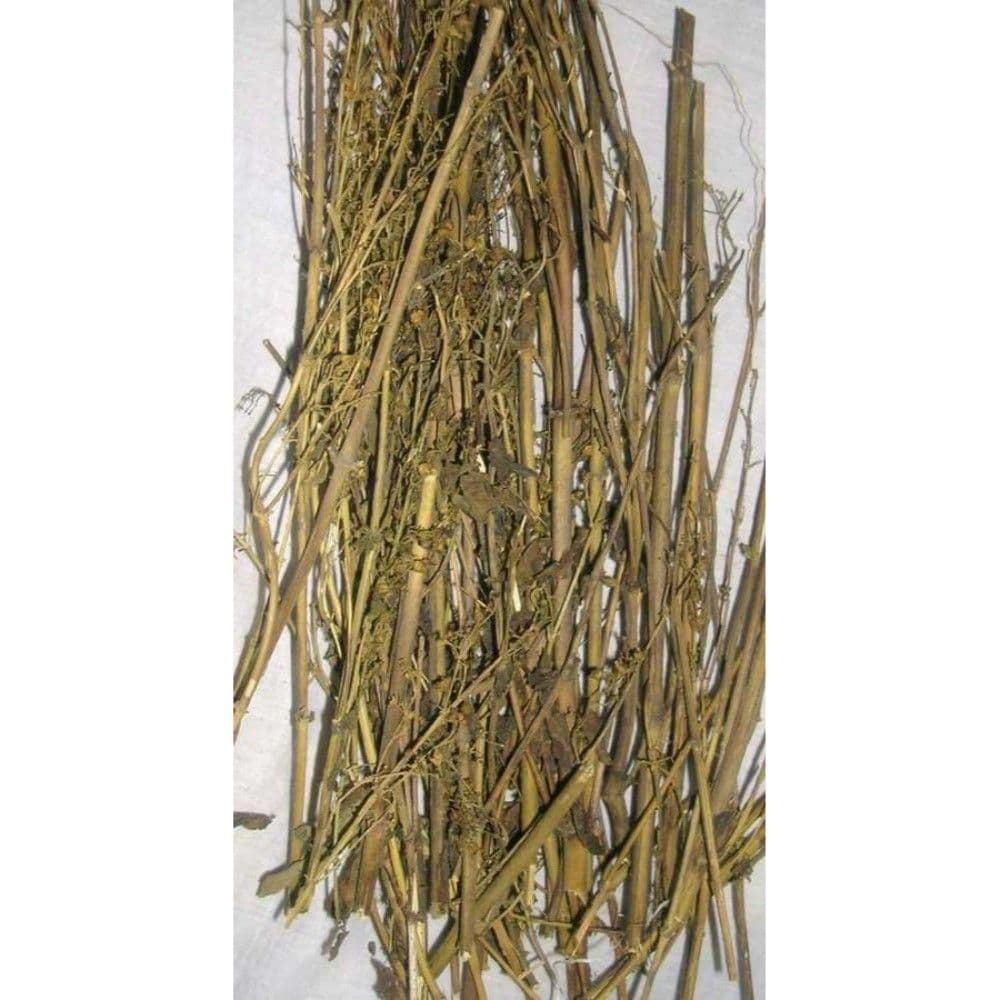 Kiratatikta medicinal plant