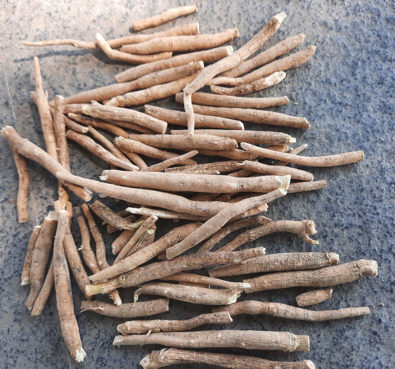 Ashwagandha medicinal plant