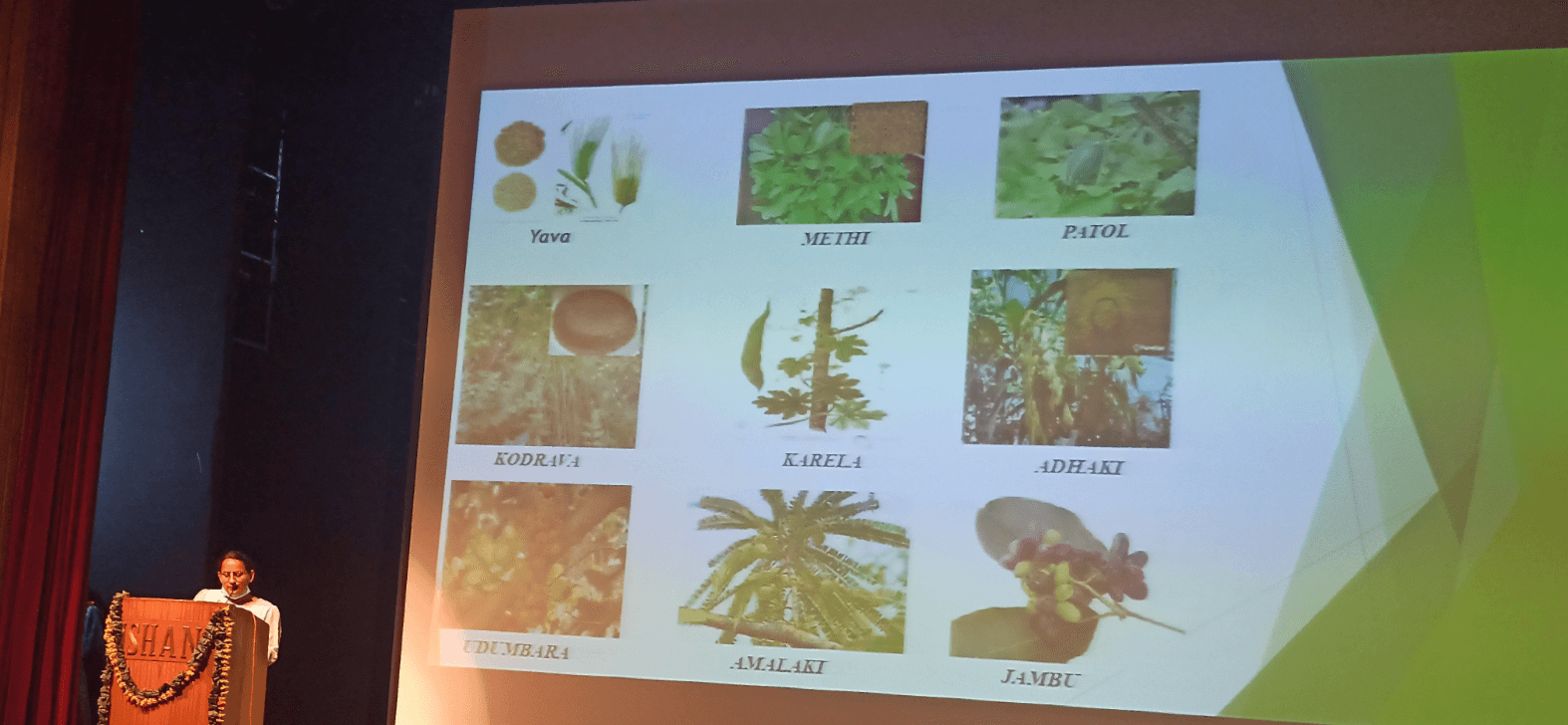 Ayurmanthan – International Seminar - Image 4