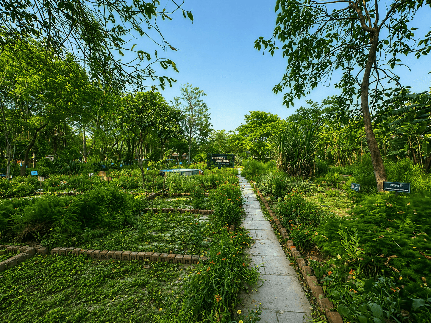 Herbal Garden