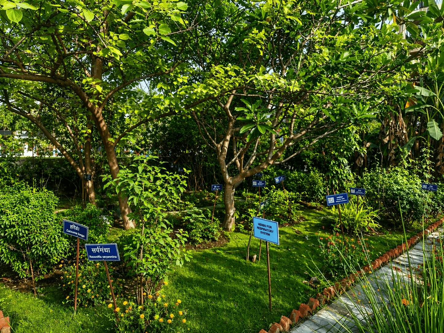 Aerial view of main garden