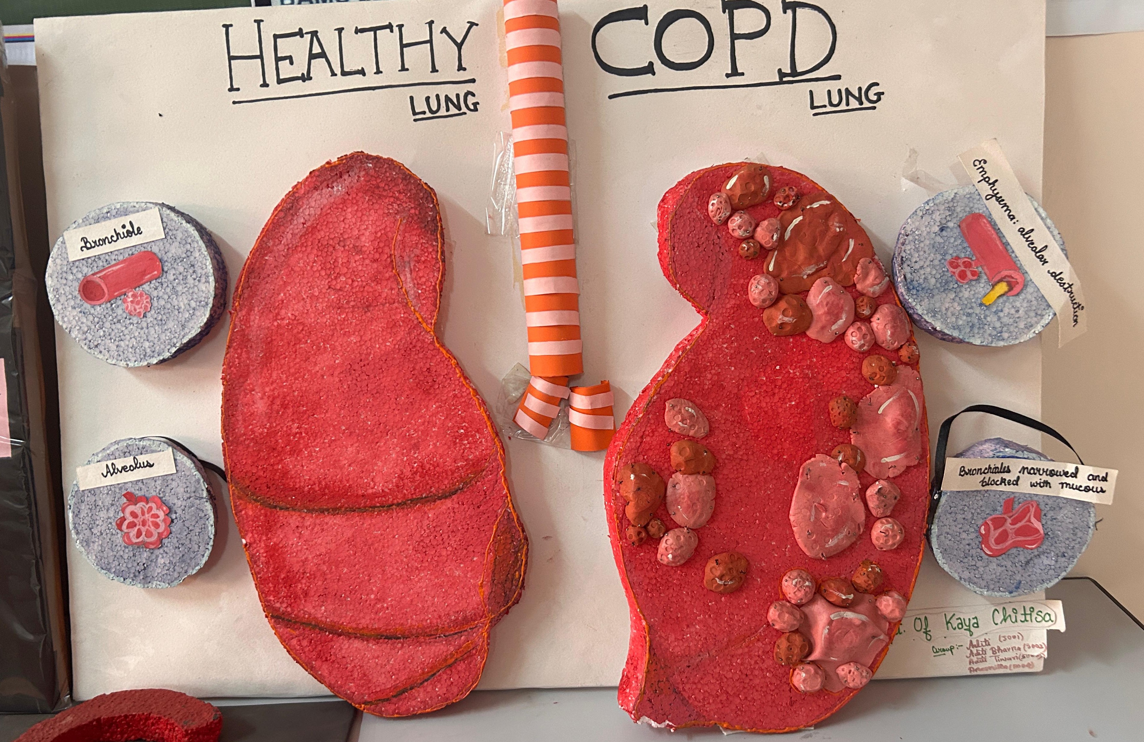 Department of Kaya Chikitsa - Key area 2