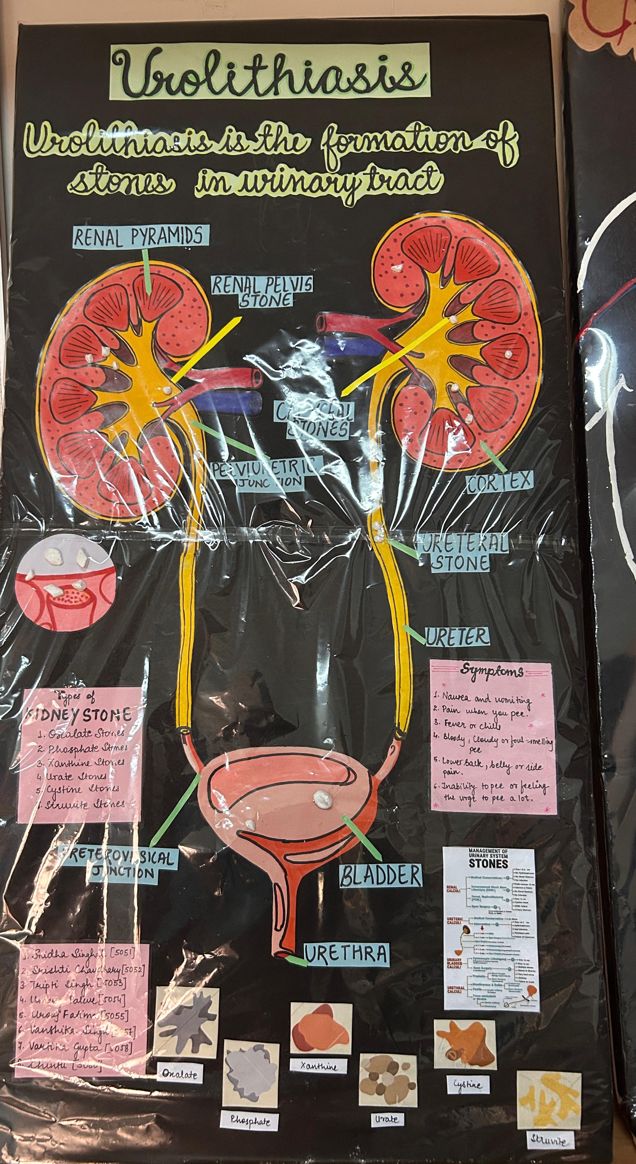 Department of Kaya Chikitsa - Key area 3