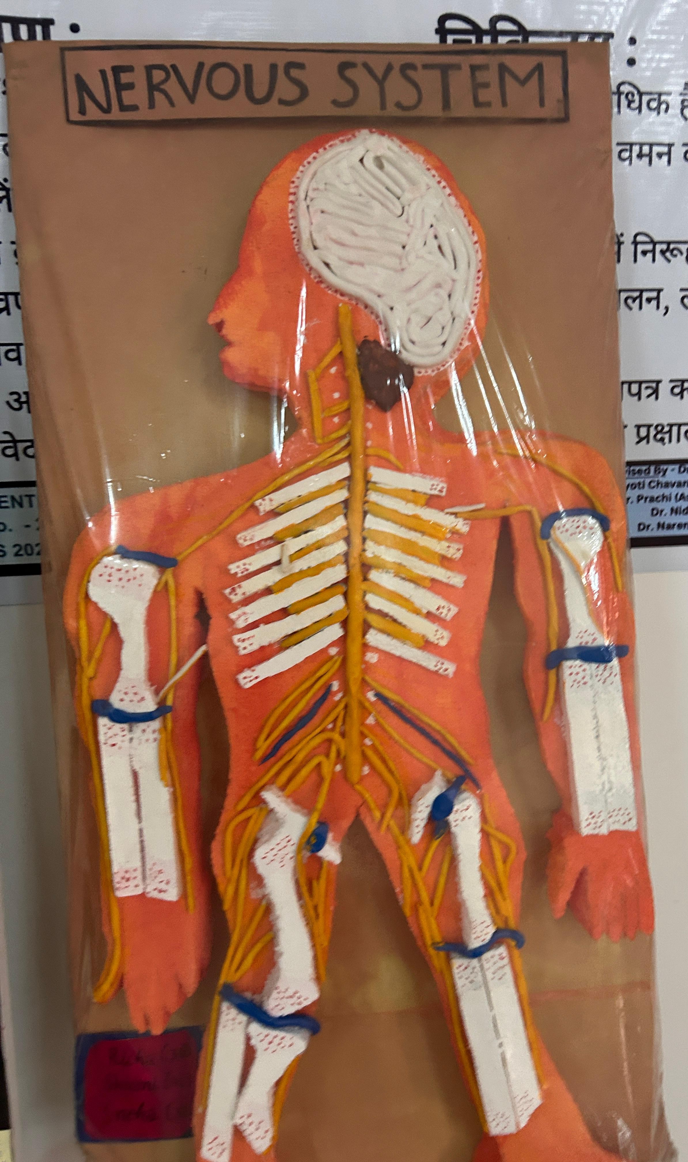 Department of Kaya Chikitsa - Lab 2