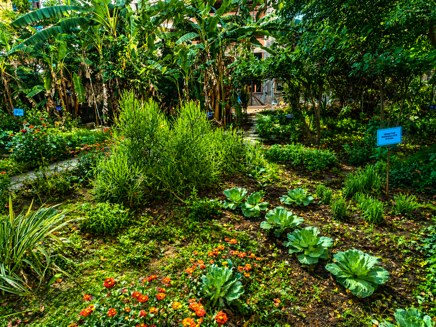 Identification signboards