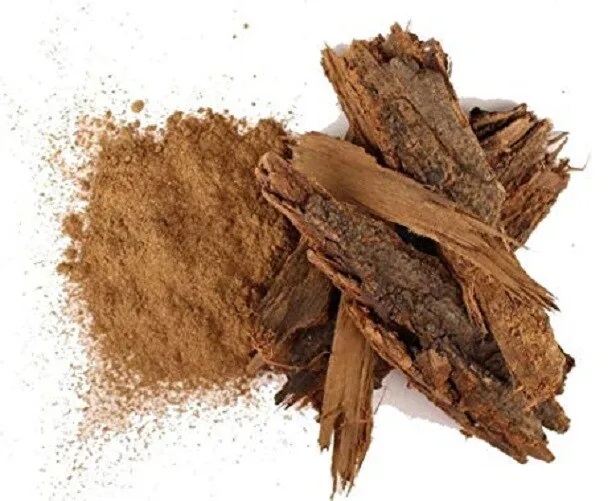 Khadir Heart Wood Tree medicinal plant