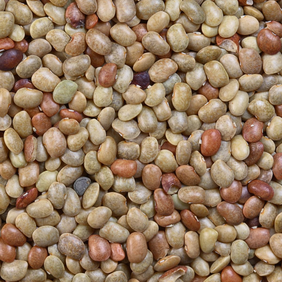 Kulthi Dal (Horse Gram)