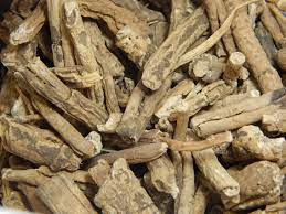 Nisoth medicinal plant